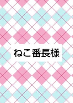 ねこ番長様 ウィッグオーダー - メルカリ