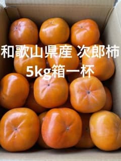 和歌山県産 次郎柿 5kg箱一杯のサムネイル