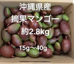 沖縄県産摘果マンゴー2.8Kg - メルカリ