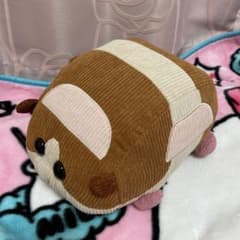 PUI PUI 몰카 인형