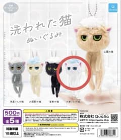 洗われた猫　ぬいぐるみ 大家さんの猫のサムネイル