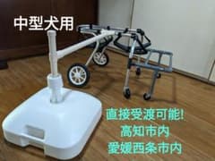 m86991221981_1.jpg?1715684487