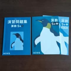 四谷大塚 予習シリーズ 算数 5年上 演習問題集 解答解説セット - メルカリ
