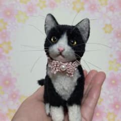 ハチワレ猫ちゃん　動物ぽんぽんのサムネイル