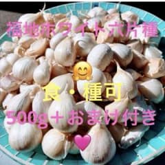 ✨令和8年度産　✨乾燥ニンニク　✨福地ホワイト六片✨ Ｓ玉✨10キロ➕おまけ❣️ ✨新物令和8年度産 ✨乾燥にんにく食・種可✨福地ホワイト六片500g＋