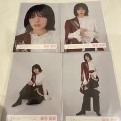 m87005909250_1.jpg?1732374700