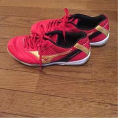 Mizunoシューズのサムネイル