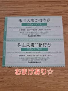 2枚の値段です！南知多ビーチランド　リトルワールド　入場券 　株主優待 - 3