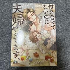 付き合っていないのに夫婦やってます。 1 山田パピーのサムネイル