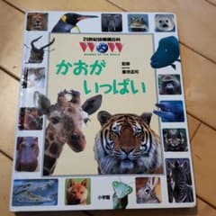 小学舘　21世紀幼稚園百科　かおがいっぱいのサムネイル