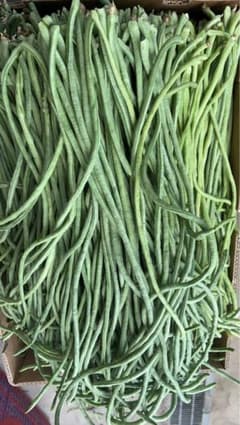 長野県産 信州 ささげインゲン江豆角 500g - メルカリ