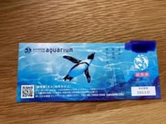 サンシャイン水族館　チケット　1枚　大人のサムネイル