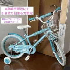 m87029653207_1.jpg?1726734332