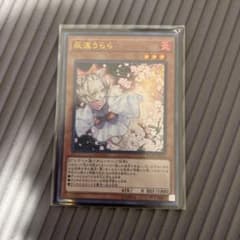 遊戯王 灰流うらら　ウルトラのサムネイル