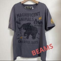 ビームスBEAMS HEART Tシャツ　Lサイズのサムネイル