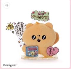 チェゴシム　堂々りすゴシム　アクぬい　おまけ付き