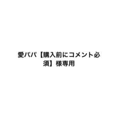 愛パパ【購入前にコメント必須】様専用のサムネイル
