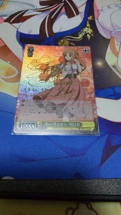 じんたん専用ヴァイスシュヴァルツ  私の答えなら　明日奈　SPのサムネイル