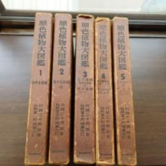 原色植物大図鑑 村越三千男 5冊セット 誠文堂新光社 - メルカリ
