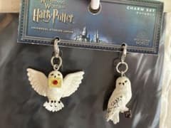 USJ 한정 해리 포터 헤드위그 매력 세트
