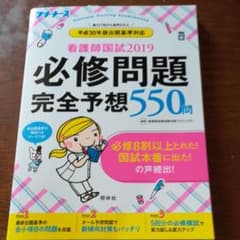 プチナース看護師国試 2019 必修問題完全予想550問のサムネイル
