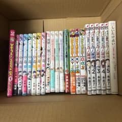 中古本 まとめ売り 22冊 - メルカリ