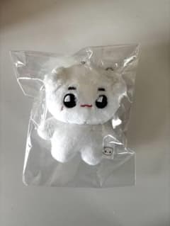 nct127 テヨン ぬいぐるみ 툥야 テョンヤ - メルカリ