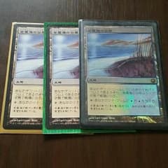 金属海の沿岸Foil×1金属海の沿岸×2のサムネイル