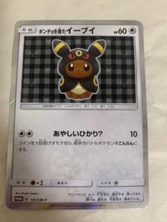 ポンチョを着たイーブイ　ブラッキーのサムネイル