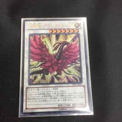 遊戯王 月華竜ブラックローズドラゴンのサムネイル