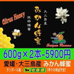 最終間近！【みかん蜂蜜600g×2本】みかん畑での採蜜・純粋・非加熱で