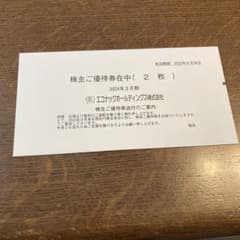 エコナックホールディングス　株主優待券　2枚のサムネイル