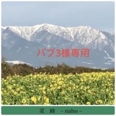 バブ3様専用「おまもり」④首掛けのサムネイル
