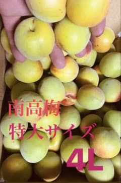 南高梅　4L10キロ　青空様専用のサムネイル