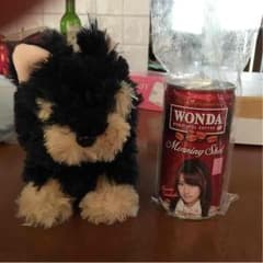 AKB48 高橋みなみ 非売品 ワンダ缶 ＆喋る犬のサムネイル