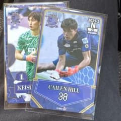 サンフレッチェ広島 オンサイトカードN - メルカリ