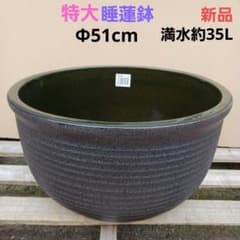 新品　特大51　陶器睡蓮鉢　メダカ鉢　難有　エメラルドグリーン　緑黒　高級LBK 新品 特大51 陶器睡蓮鉢 メダカ鉢 難有 エメラルドグリーン 緑黒 高級
