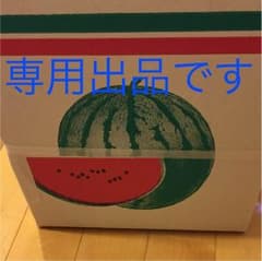 専用出品です。のサムネイル