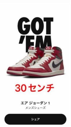 30cmエアジョーダン1 シカゴAJ1 Chicago lost&found - メルカリ