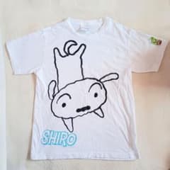 クレヨンしんちゃん シロ 半袖 Tシャツ M dog　犬 anime Avail