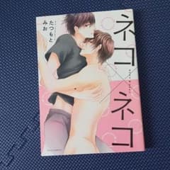 ネコ×ネコのサムネイル