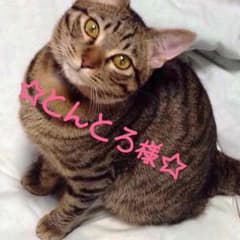 アイプチのサムネイル
