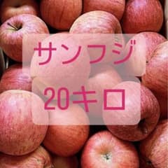 りんご　サンフジ　訳あり　20キロ　山形県朝日町産のサムネイル
