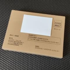 2021 ANA スーパーフライヤーズ　手帳のサムネイル