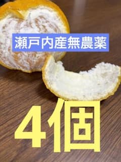 無農薬　甘夏のサムネイル