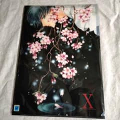 X 皇昴流/神威/クリアファイル 2枚セット X 皇昴流/神威/クリアファイル 2枚セット - メルカリ