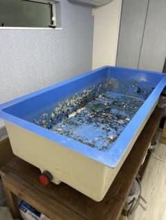 大型水槽 FRPのサムネイル