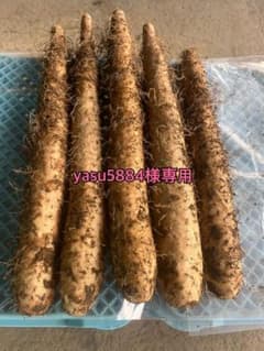 yasu5884様専用　5kgのサムネイル