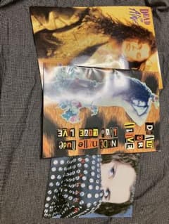 デッドオアアライブ　ピートバーンズ　パンフ3冊セット美品DEADOR ALIVE