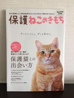 保護ねこのきもちのサムネイル